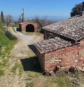 Foto annuncio 21