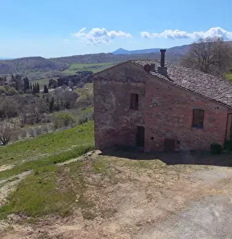 Foto annuncio 12