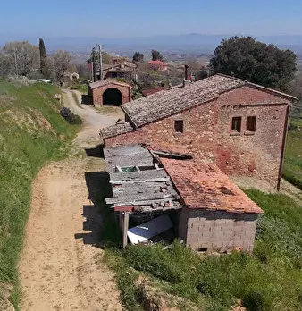 Foto annuncio 9