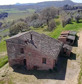 Foto annuncio 29