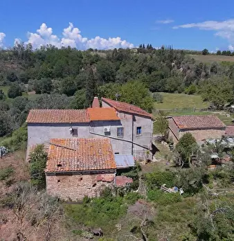 Foto annuncio 9