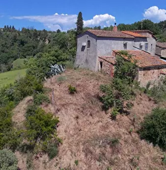 Foto annuncio 11