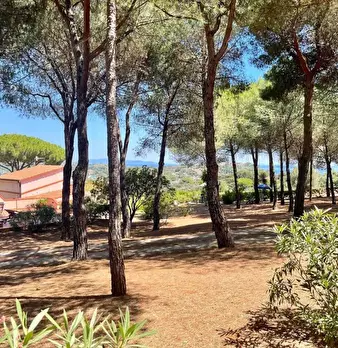 Foto annuncio 18