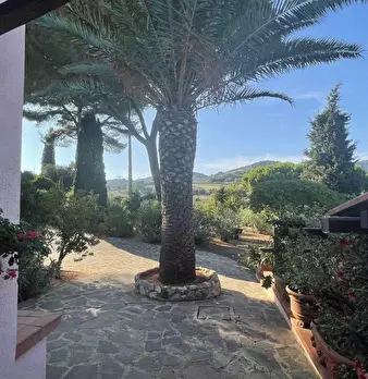 Foto annuncio 10