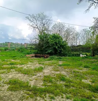 Foto annuncio 27