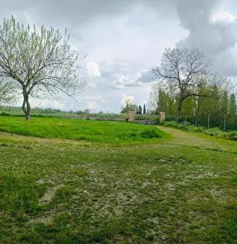 Foto annuncio 55