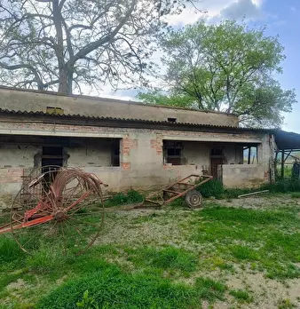 Foto annuncio 7