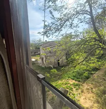 Foto annuncio 39
