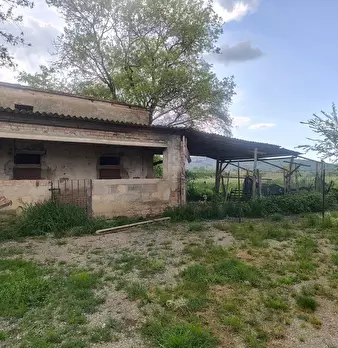 Foto annuncio 2
