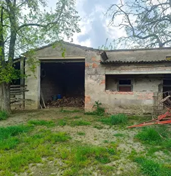 Foto annuncio 8