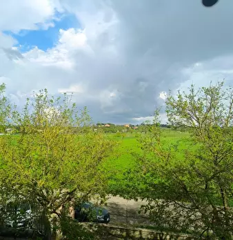 Foto annuncio 41