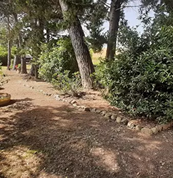 Foto annuncio 10