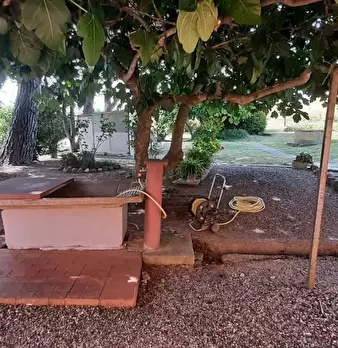 Foto annuncio 9