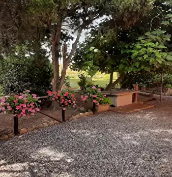 Foto annuncio 19