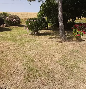 Foto annuncio 15