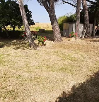 Foto annuncio 18