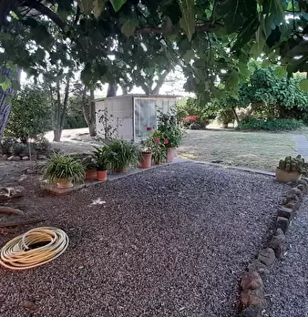 Foto annuncio 13
