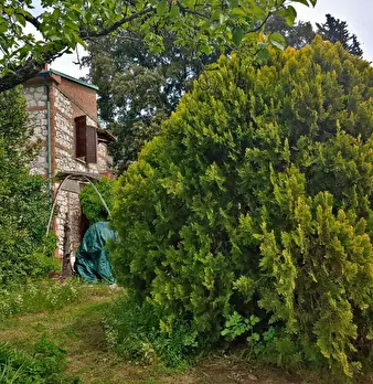 Foto annuncio 26