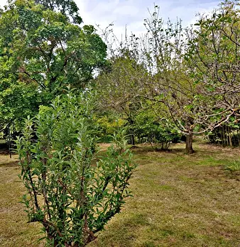 Foto annuncio 25
