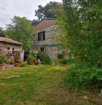 Foto annuncio 5