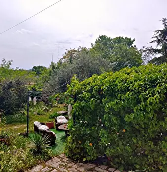 Foto annuncio 22
