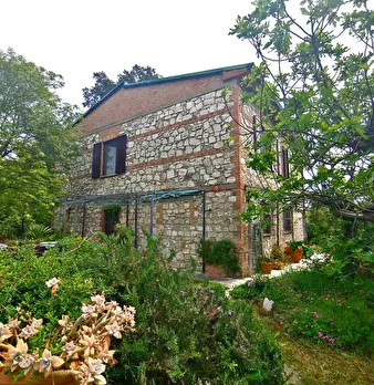 Foto annuncio 1
