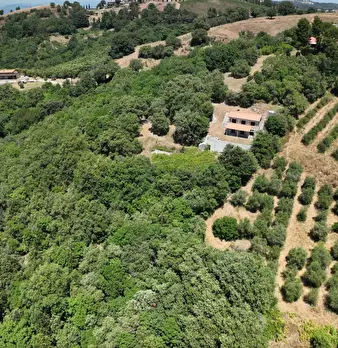 Foto annuncio 1