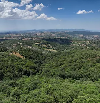 Foto annuncio 11