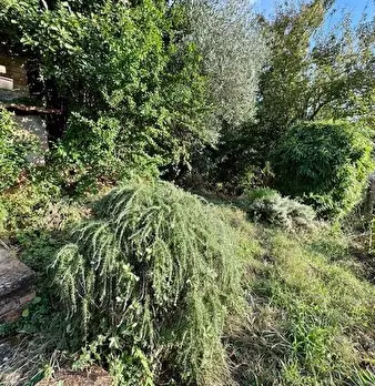 Foto annuncio 23