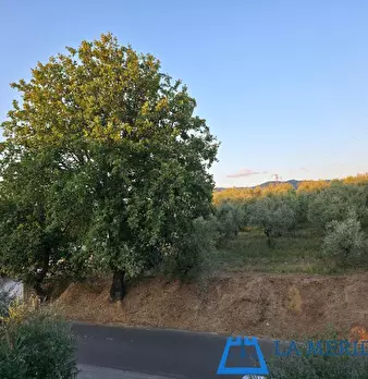 Foto annuncio 33