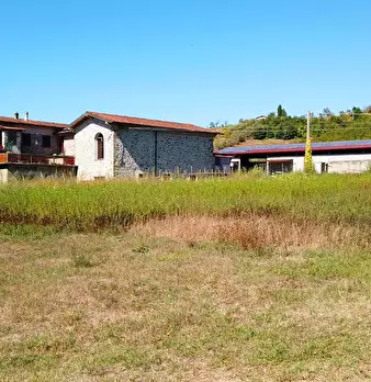 Foto annuncio 13