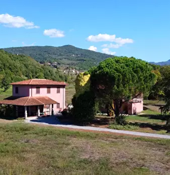 Foto annuncio 19