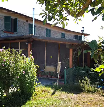Foto annuncio 11