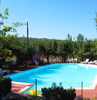 Foto annuncio 4