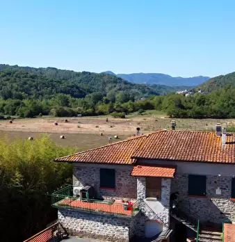 Foto annuncio 7