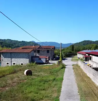 Foto annuncio 17