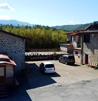 Foto annuncio 9