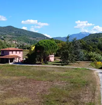 Foto annuncio 16