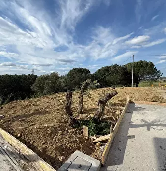 Foto annuncio 40
