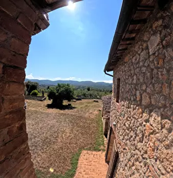 Foto annuncio 34