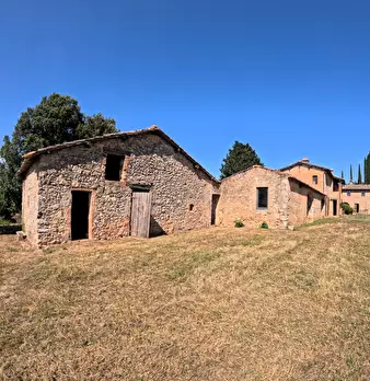 Foto annuncio 24