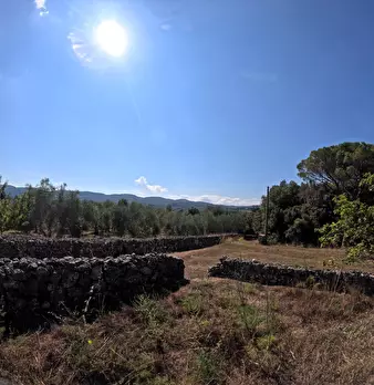 Foto annuncio 26