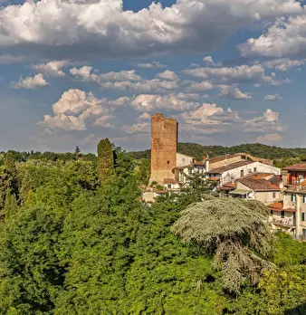Foto annuncio 49