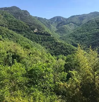 Foto annuncio 7
