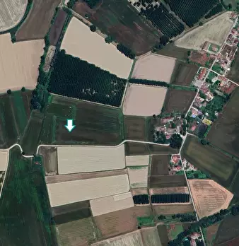 Foto annuncio 1