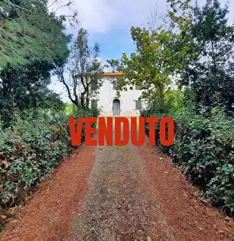 Foto annuncio 1