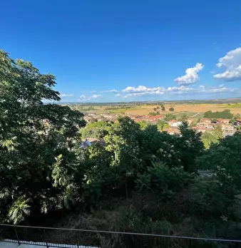 Foto annuncio 28
