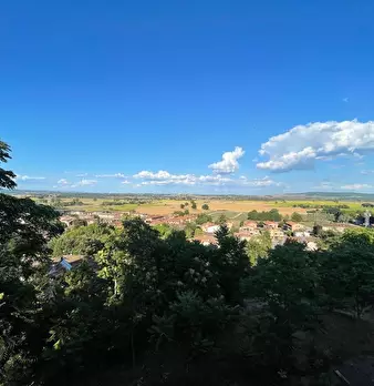 Foto annuncio 30