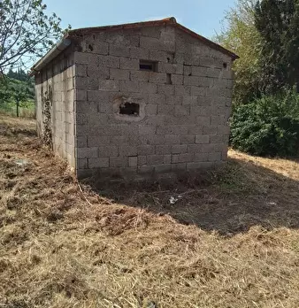 Foto annuncio 3