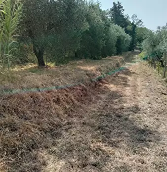 Foto annuncio 21